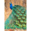 Beautiful Peacock - Birds - 3D Lenticular Postcard Greeting Card Online Hot Sale