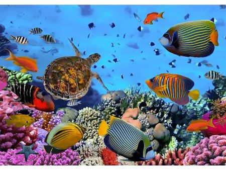 Colorful coral reef with tropical fish - 3D Lenticular Postcard Greeting Card- NEW For Cheap