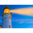 Heceta Head Lighthouse - 3D Action Lenticular Postcard Greeting Card- NEW For Cheap