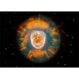 Eskimo Nebula (NGC 2392) - 3D Lenticular Postcard Greeting Card - NEW For Cheap