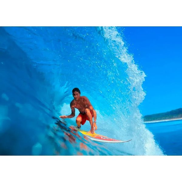 Surfer in the Curve of a Wave - 3D Lenticular Postcard Greeting Card - NEW Supply