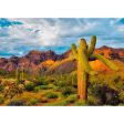 Saguaro Cactus 2 - Sonoran Desert Plant - 3D Lenticular Postcard Greeting Card - NEW For Discount