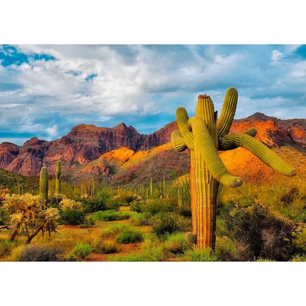 Saguaro Cactus 2 - Sonoran Desert Plant - 3D Lenticular Postcard Greeting Card - NEW For Discount