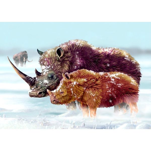 Woolly Rhinoceros and cub - 3D Lenticular Postcard Greeting Card - NEW Online now