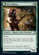 Bird Admirer    Wing Shredder [Innistrad: Midnight Hunt] For Cheap