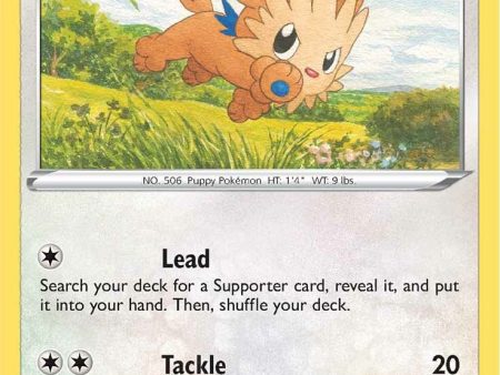 Lillipup (133 203) [Sword & Shield: Evolving Skies] Online