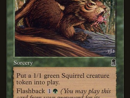 Chatter of the Squirrel [The List] Sale