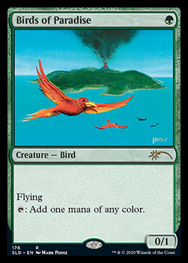 Birds of Paradise (176) [Secret Lair Drop Series] For Discount